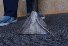 optimized-pic-carpet