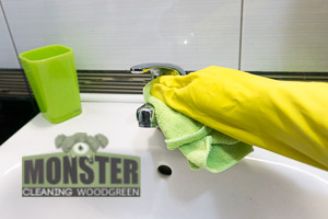 Monster Cleaning Woodgreen