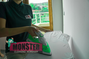Monster Cleaning Horsham
