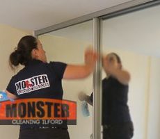 Monster Cleaning Ilford 2
