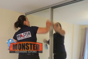 Monster Cleaning Ilford 2